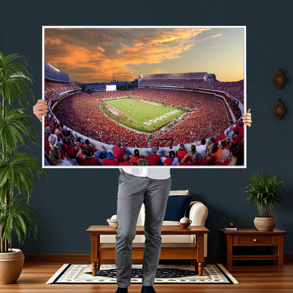 Dooley Stadium Wall Art, Sports Arena Canvas Print, Dooley Field, Framed and Ready to Hang