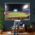 Dooley Stadium Wall Art, Sports Arena Panoramic Canvas
