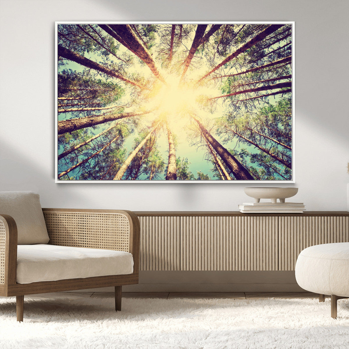 Tree and Sunshine Canvas Print