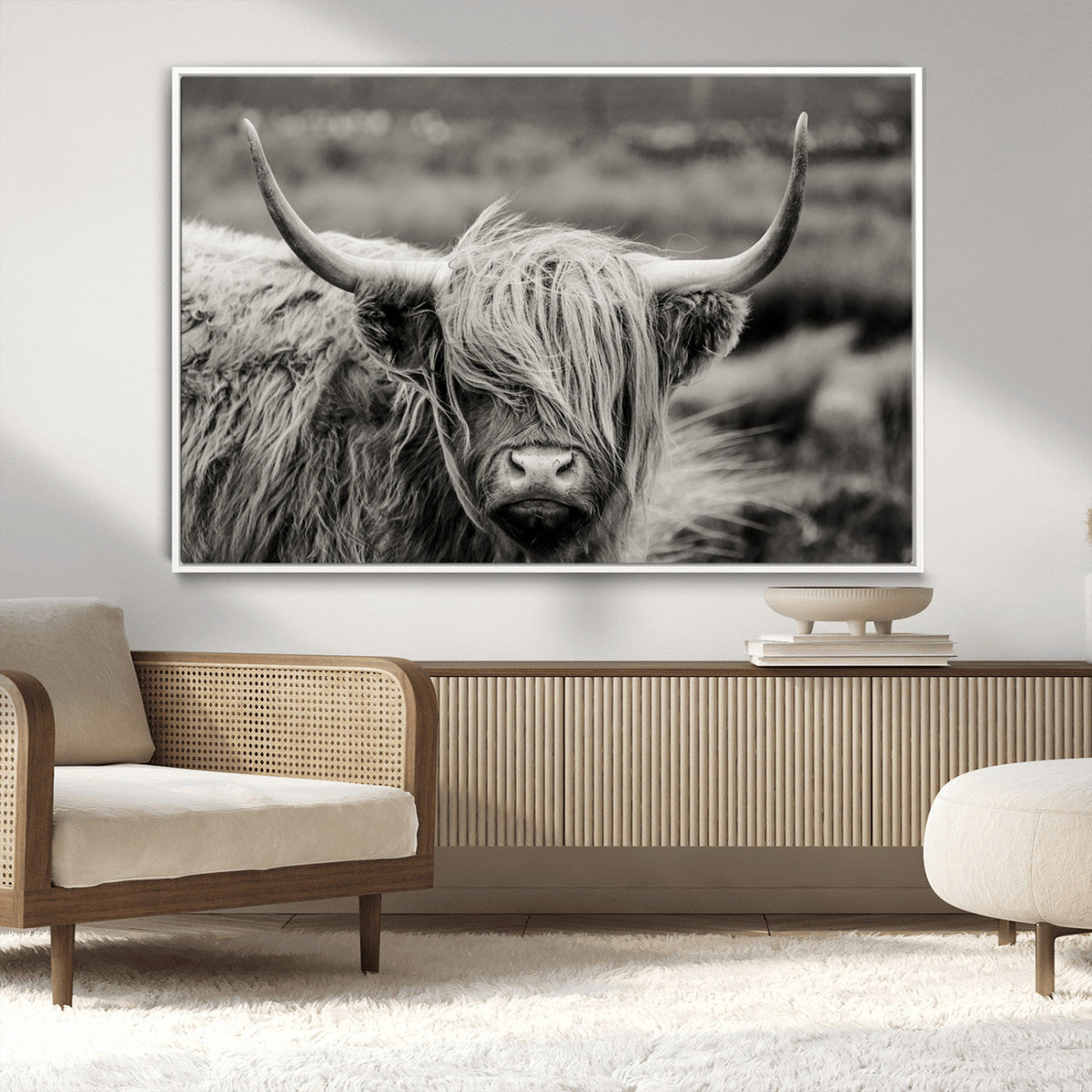 Cow Focus Canvas Wall Art Print