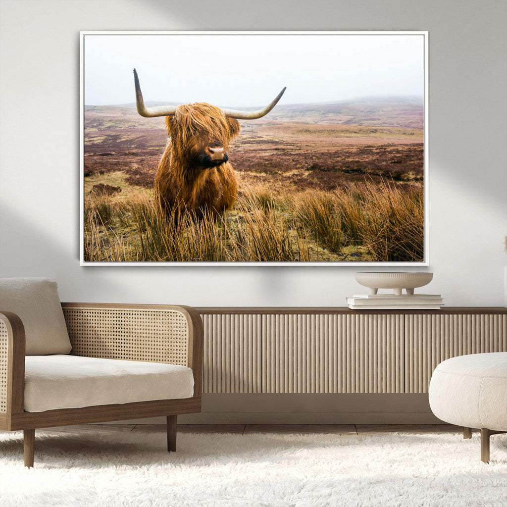 Scottish Highland Cow Canvas Wall Art, Rustic Farmhouse Decor