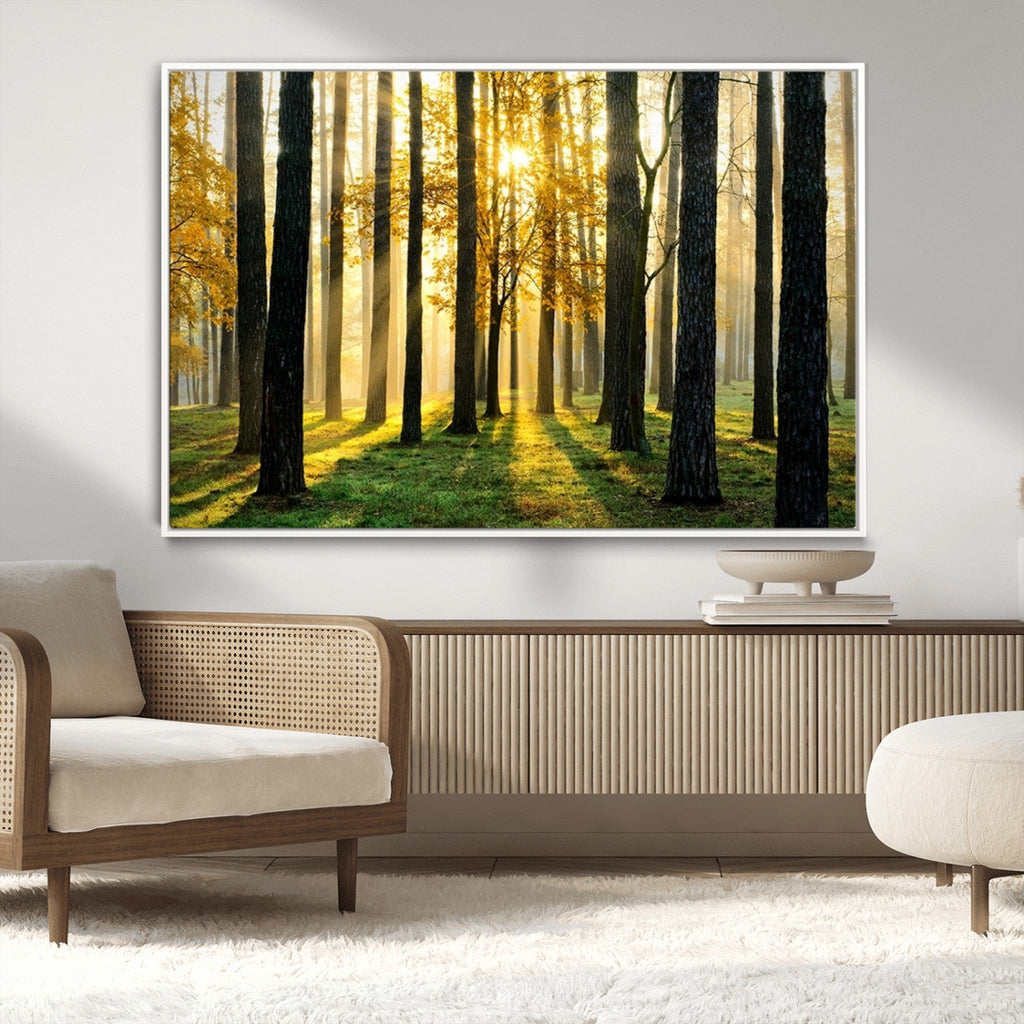 Sunlit Forest Wall Art Canvas Print, Large Framed Woodland Scene with Golden Light