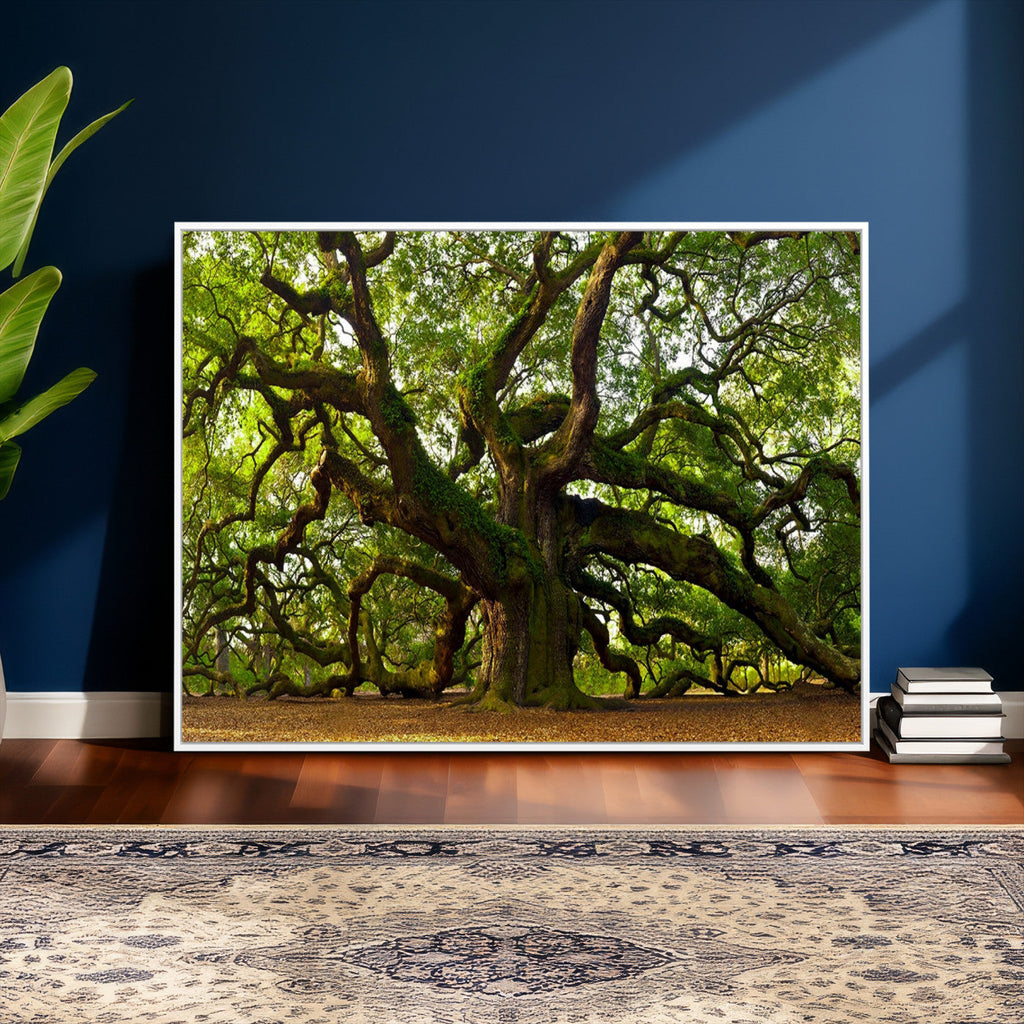 Angel Oak Tree Wall Art Canvas Print | Forest Tree Nature Photography Print