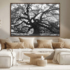 Ancient Oak Wall Art Canvas Print | Gnarled Tree with Twisted Branches