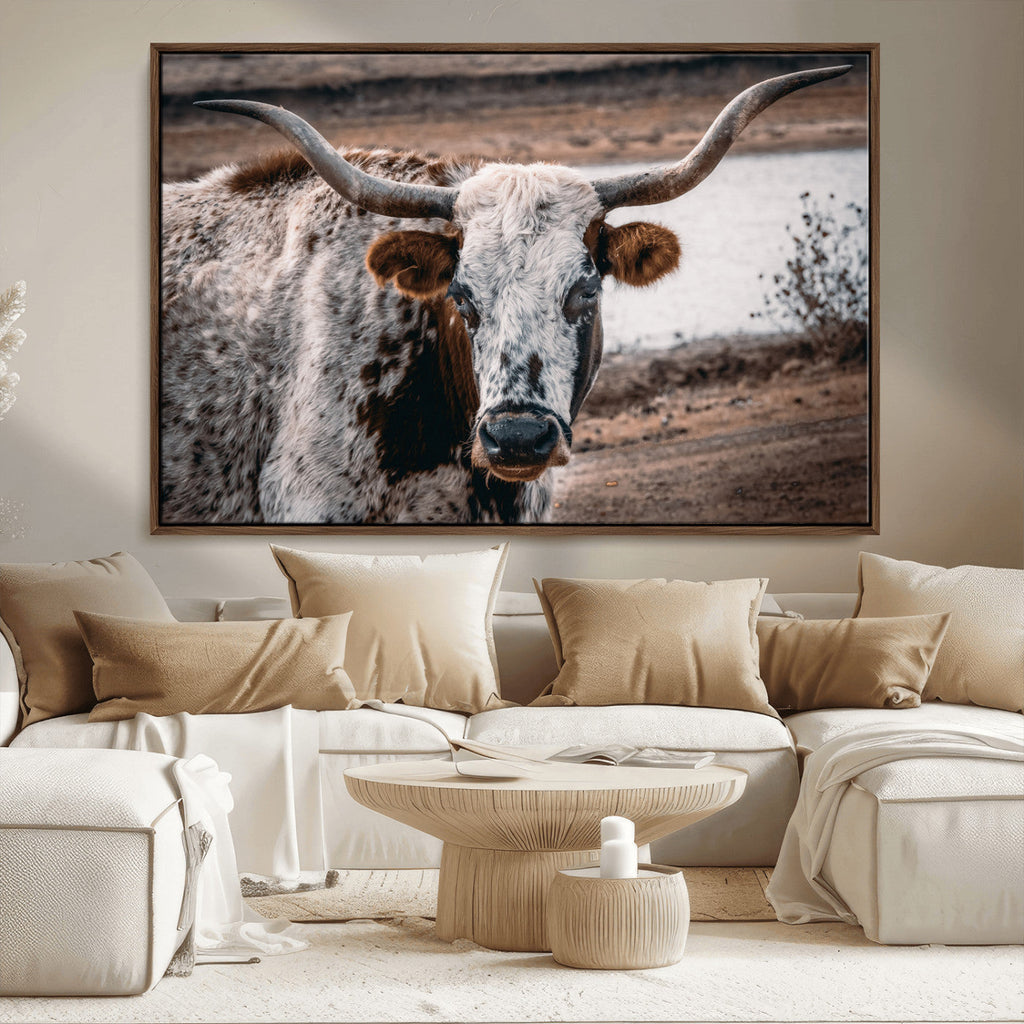 Texas Longhorn Wall Art Canvas Print | Framed Brown and White Spotted Longhorn
