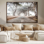 Cypress Tunnel Wall Art | Framed Misty Road Canvas Artwork