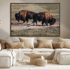 Bison Wall Art Canvas Print, Framed Western Wildlife Modern Ranch