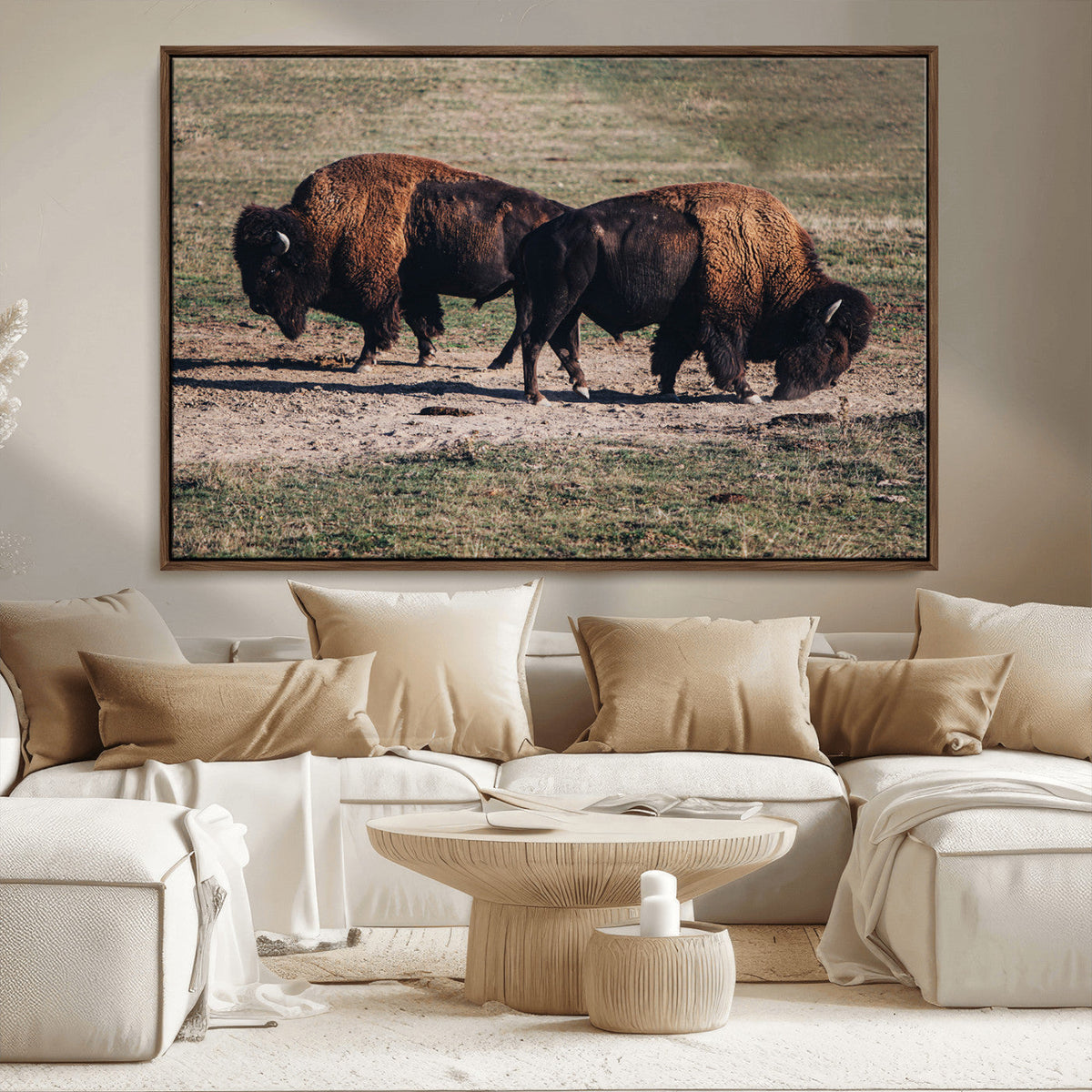 Bison Wall Art Canvas Print, Framed Western Wildlife Modern Ranch