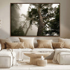 Misty Forest Wall Art Canvas Print, Framed Tall Trees in Foggy Atmosphere
