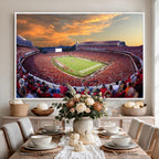 Dooley Stadium Wall Art, Sports Arena Canvas Print, Dooley Field, Framed and Ready to Hang