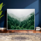 Misty Pine Forest Wall Art Canvas Print, Foggy Evergreen Landscape