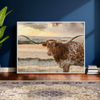 Texas Longhorn Wall Art Canvas Print, Western Ranch Bull Photography