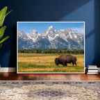 Bison in Mountain Landscape Wall Art Canvas Print, Western Decor