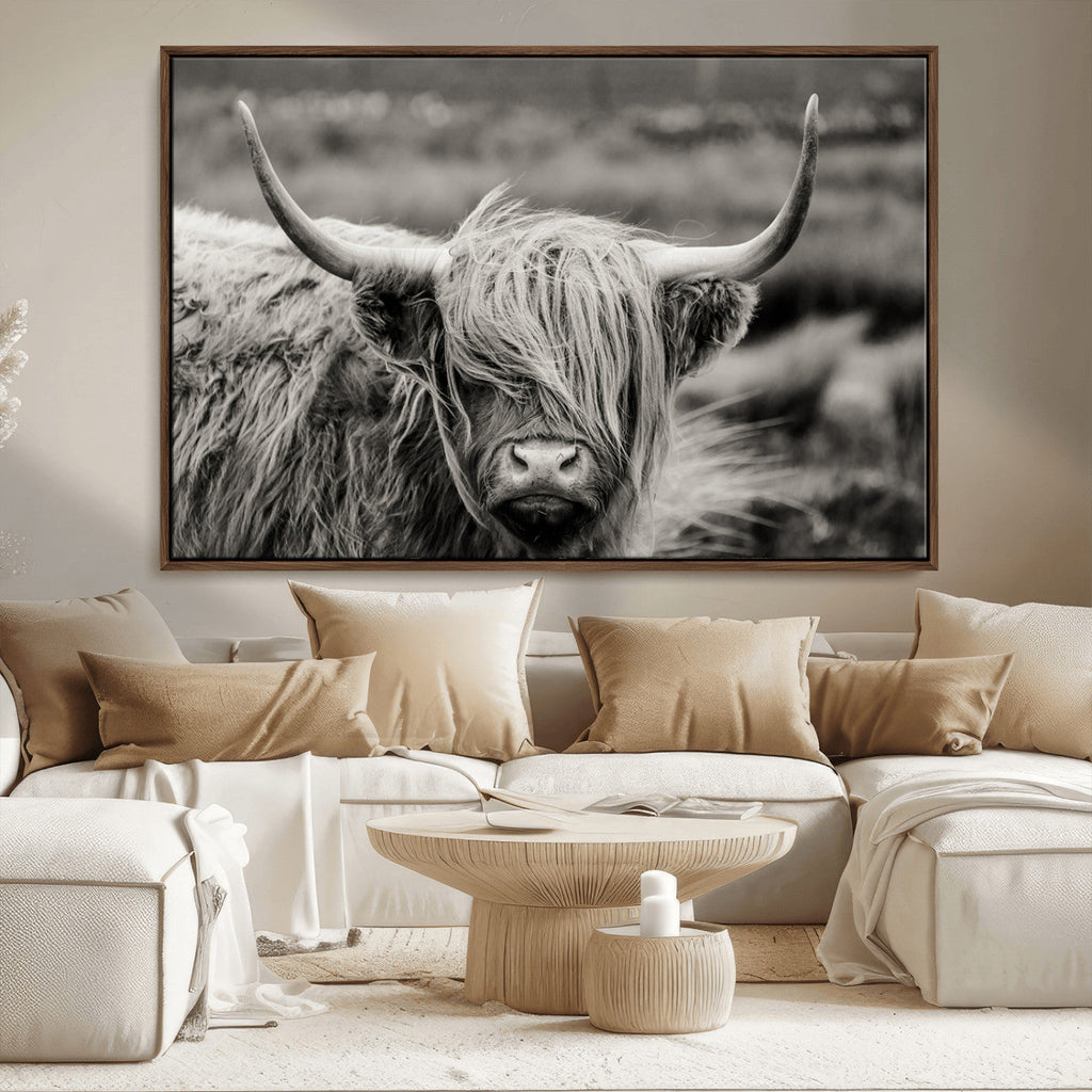 Cow Focus Canvas Wall Art Print