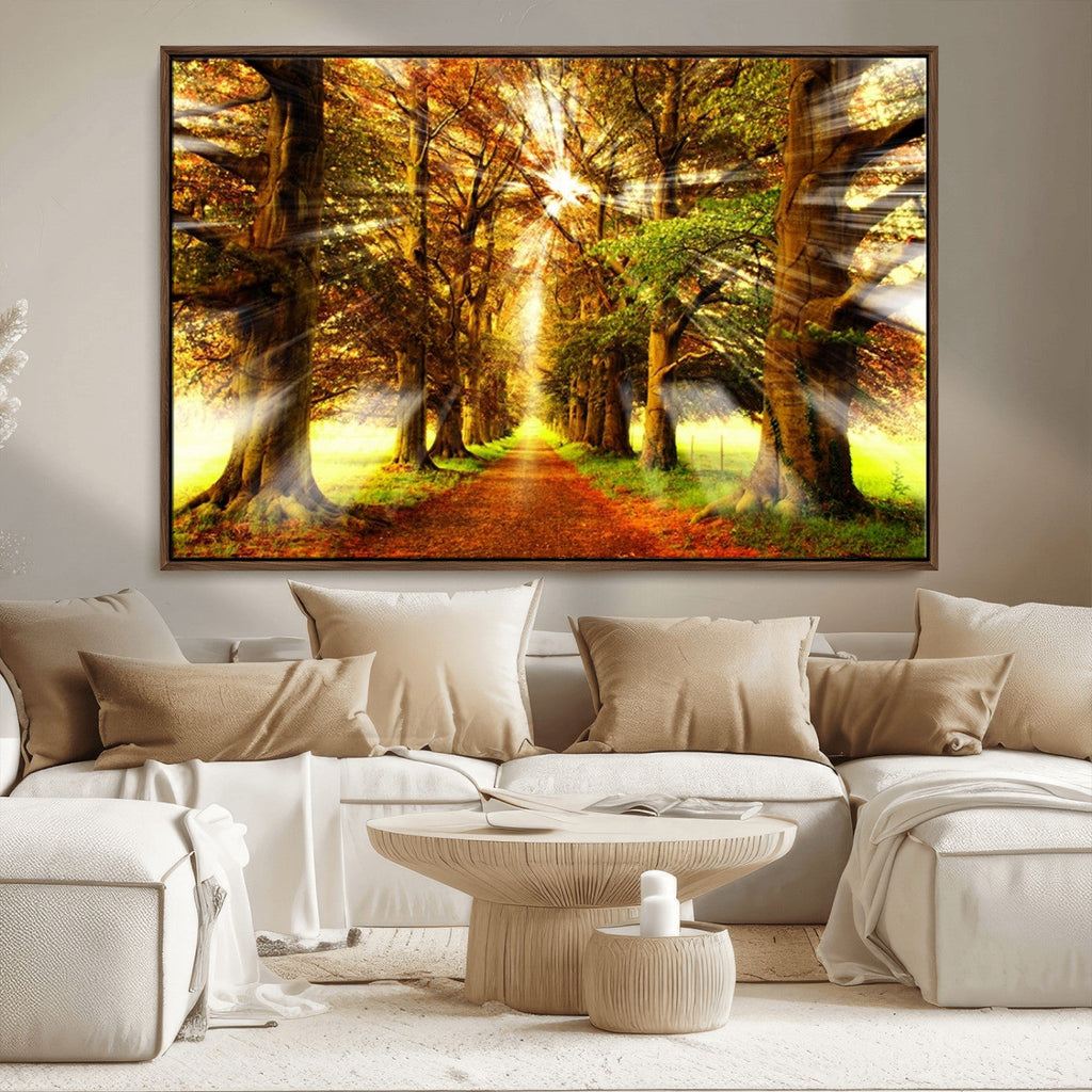 Sunshine in Forest and Trees Wall Art Canvas Print