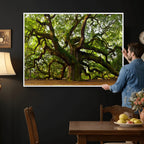 Angel Oak Tree Wall Art Canvas Print | Forest Tree Nature Photography Print