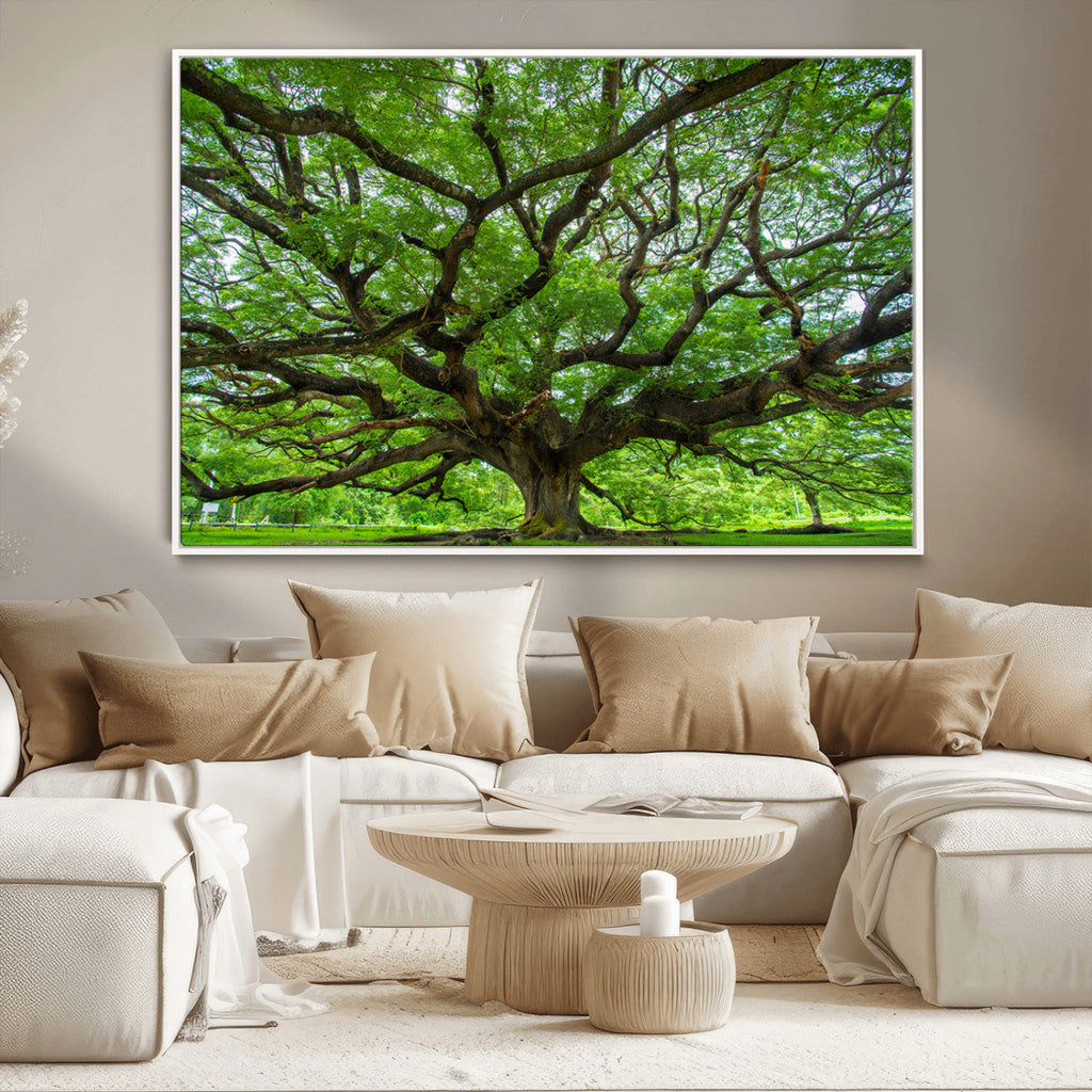 Ancient Tree Wall Art Canvas Print, Framed Sprawling Branches