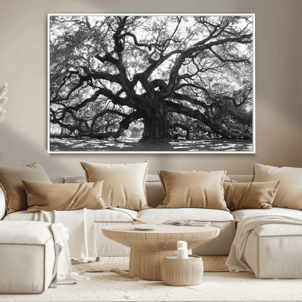 Ancient Oak Wall Art Canvas Print | Gnarled Tree with Twisted Branches