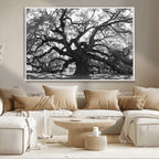 Ancient Oak Wall Art Canvas Print | Gnarled Tree with Twisted Branches