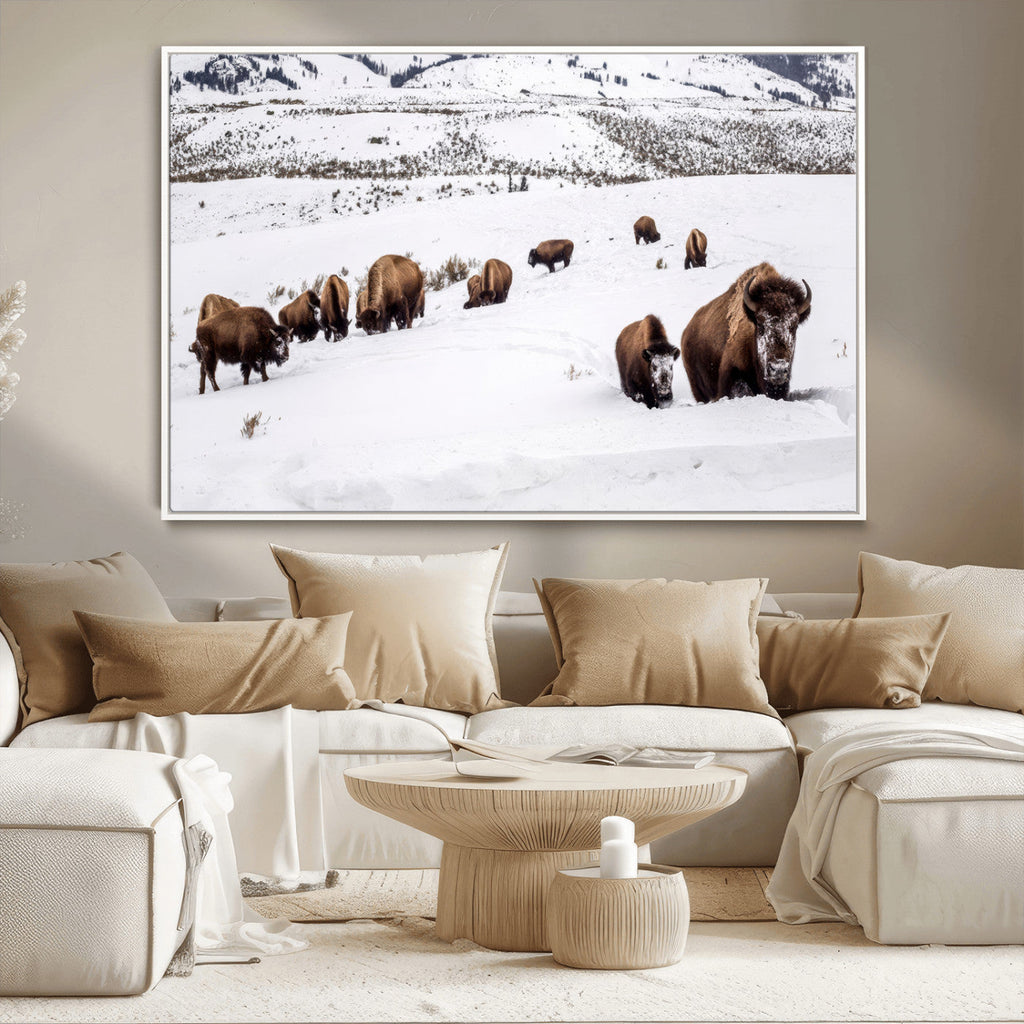 Bison Herd Wall Art Canvas Print, Framed Western Wildlife Decor, Snowy Mountain Valley