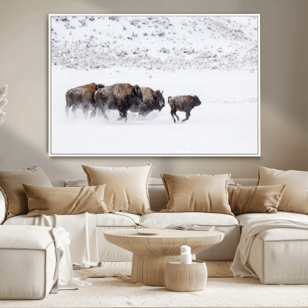 Bison Herd Wall Art Canvas Print, Framed Snowy Bison Scene, Winter Wildlife Decor