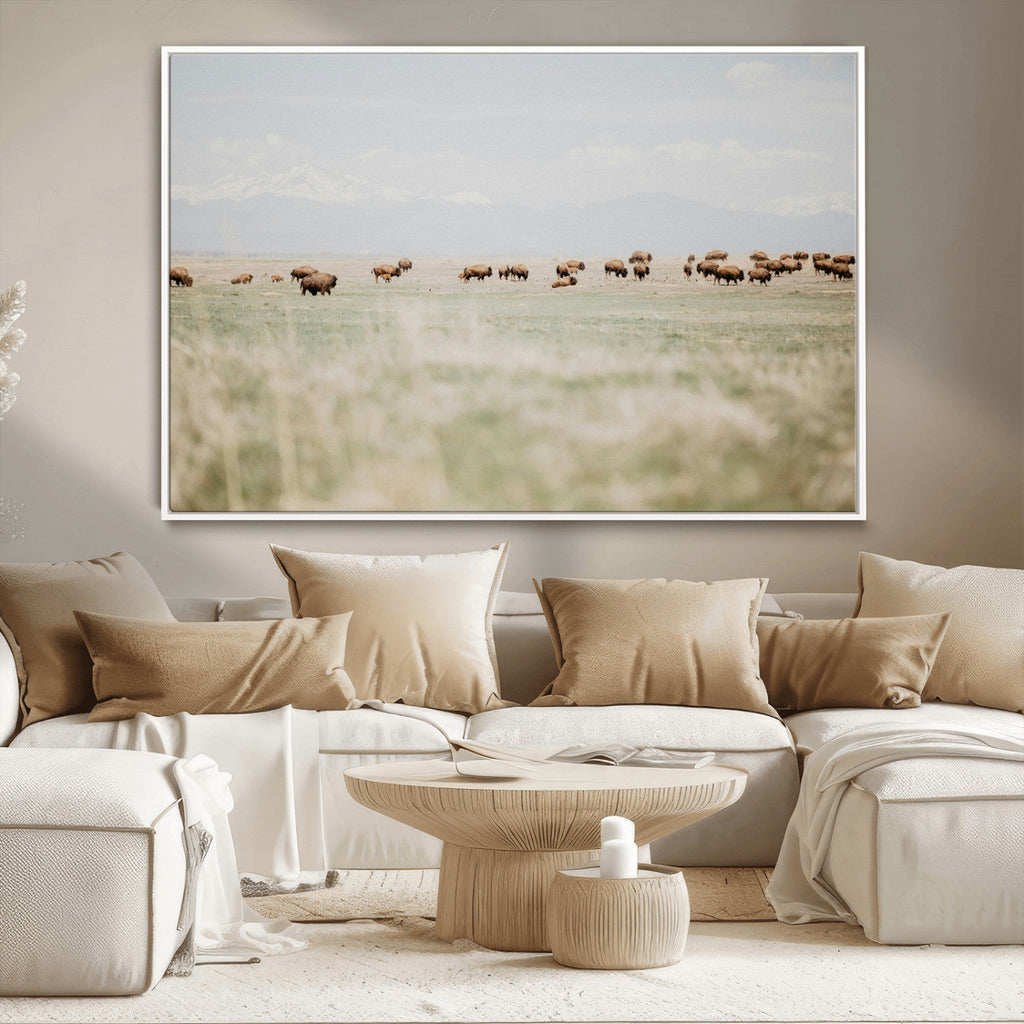 Bison Herd Wall Art Canvas Print, Framed Western Landscape with Bison in Grassland
