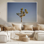 Joshua Tree Wall Art Canvas Print, Framed Southwestern Desert Landscape