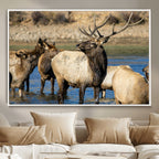 Wild Elk Wall Art Canvas Print, Framed Neutral Wildlife Scene