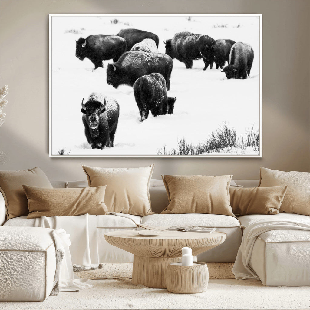 Buffalo Herd Wall Art Canvas Print, Framed Black and White Snowy Landscape