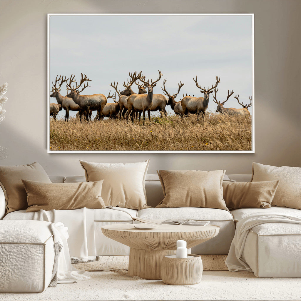 Elk Herd Wall Art Canvas Print, Framed Wildlife Photography Art, Majestic Antlers Rustic Wildlife Decor