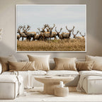 Elk Herd Wall Art Canvas Print, Framed Wildlife Photography Art, Majestic Antlers Rustic Wildlife Decor