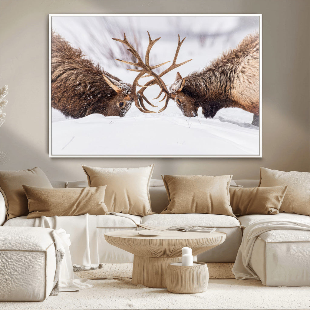 Dramatic Elk Antler Battle Wall Art Canvas Print, Snowy Wildlife Scene