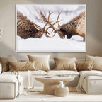 Dramatic Elk Antler Battle Wall Art Canvas Print, Snowy Wildlife Scene