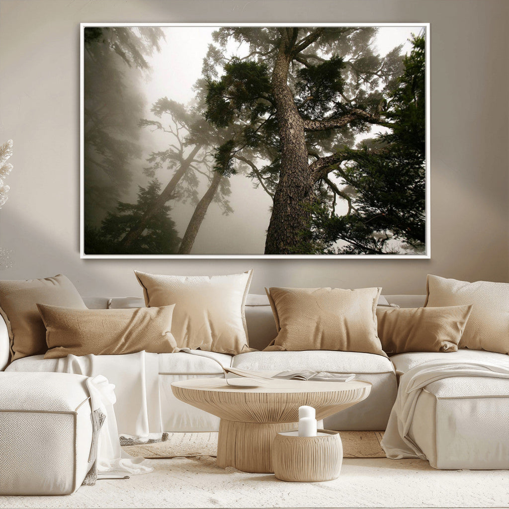 Misty Forest Wall Art Canvas Print, Framed Tall Trees in Foggy Atmosphere