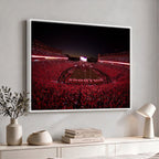 Dooley Stadium Wall Art, Sports Arena Canvas Print, Dooley Field Sanford Stadium