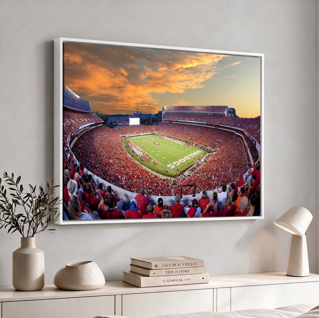 Dooley Stadium Wall Art, Sports Arena Canvas Print, Dooley Field, Framed and Ready to Hang