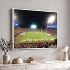 Dooley Stadium Wall Art, Sports Arena Panoramic Canvas