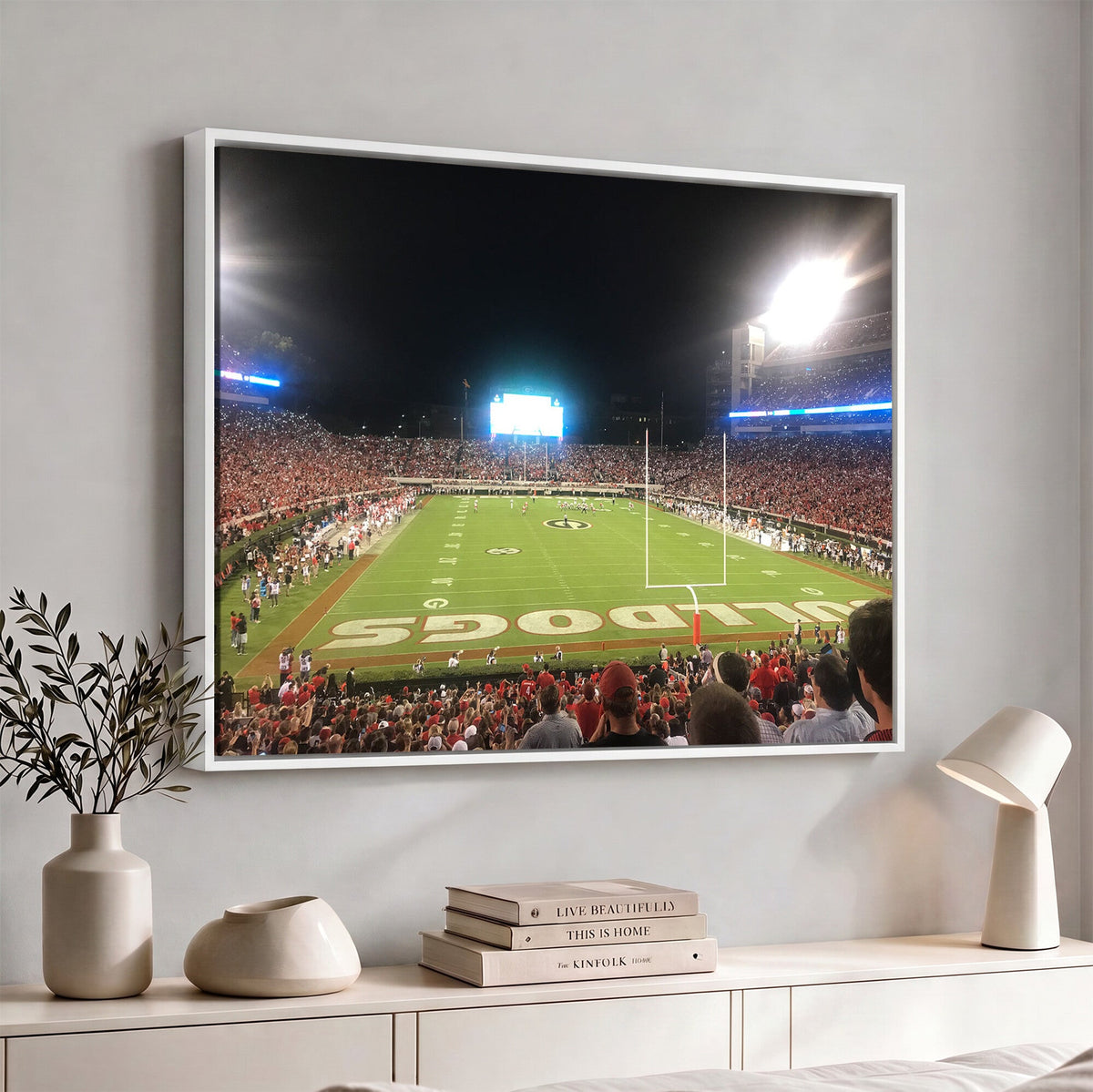 Dooley Stadium Wall Art, Sports Arena Panoramic Canvas