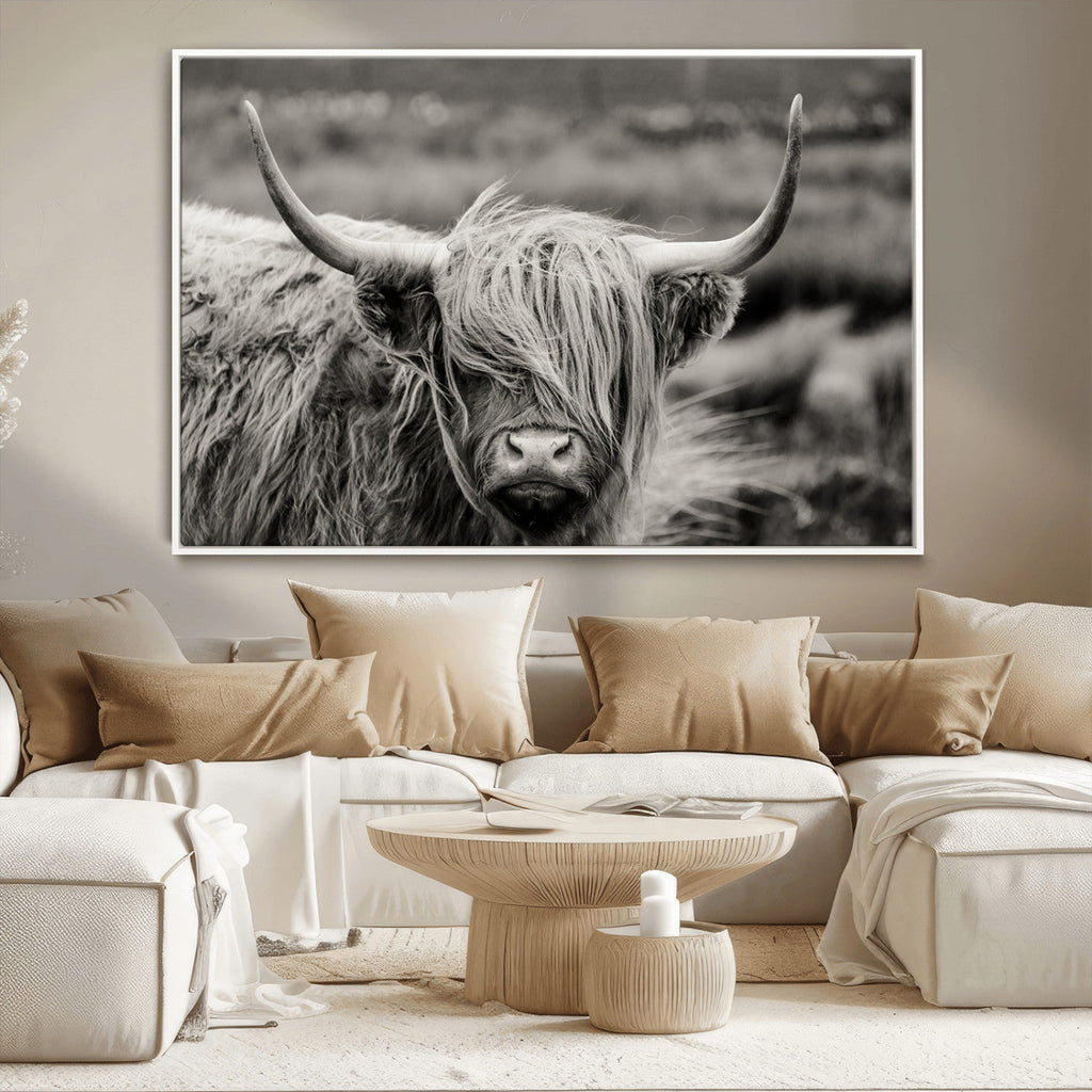 Cow Focus Canvas Wall Art Print