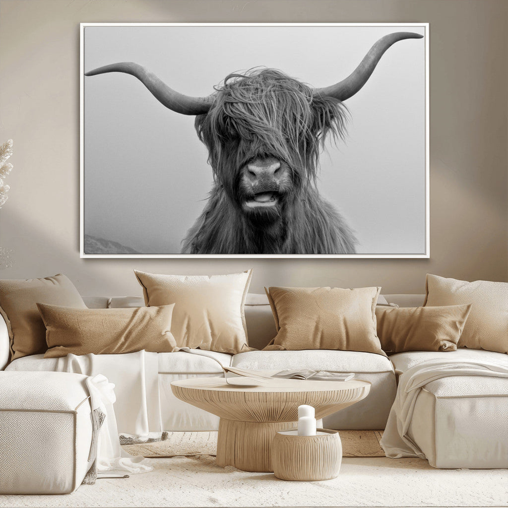Texas Cow Wall Art Canvas, Texas Longhorn Cattle Canvas Print