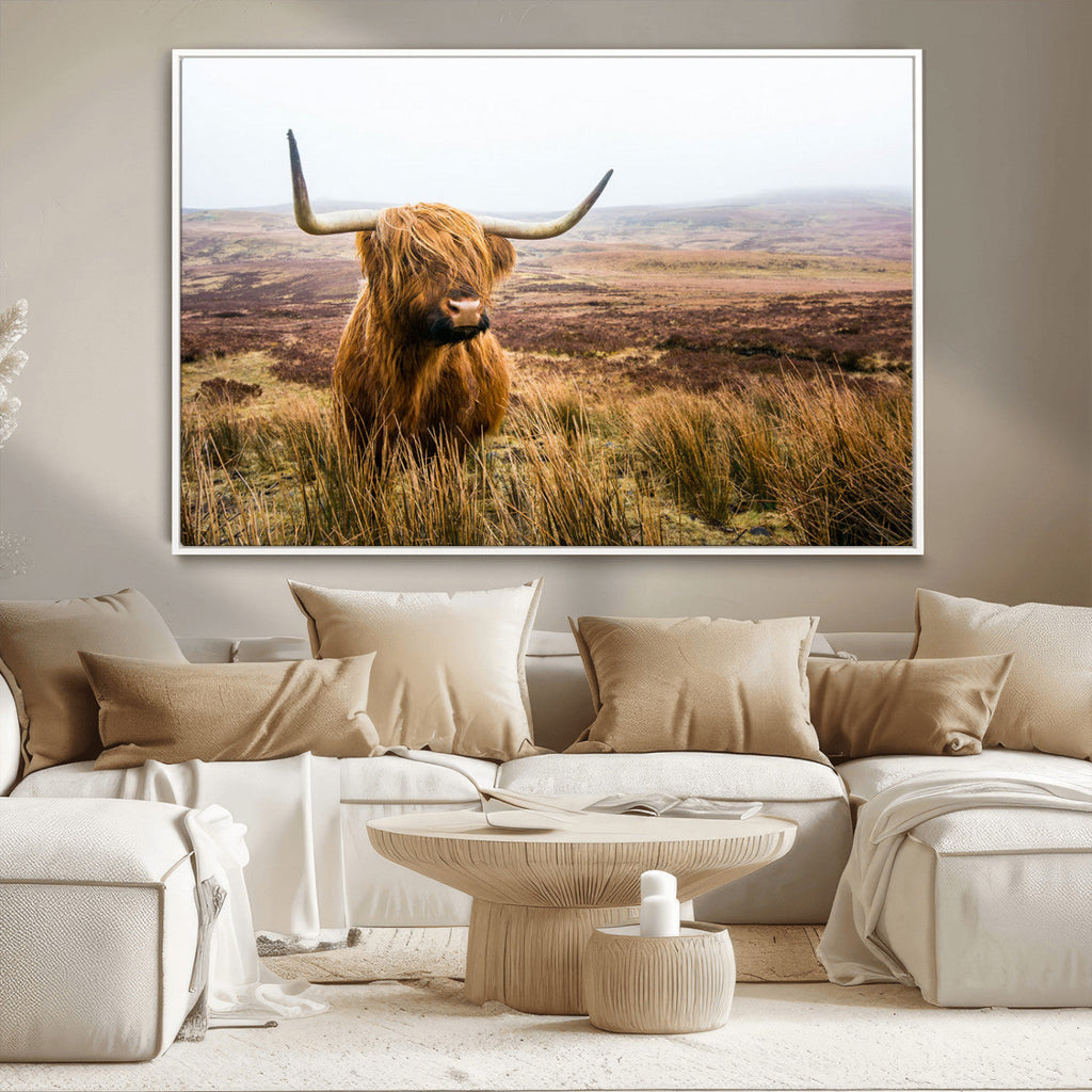 Scottish Highland Cow Canvas Wall Art, Rustic Farmhouse Decor