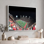 Houston Cougars Football Team Print, Houston TDECU Stadium