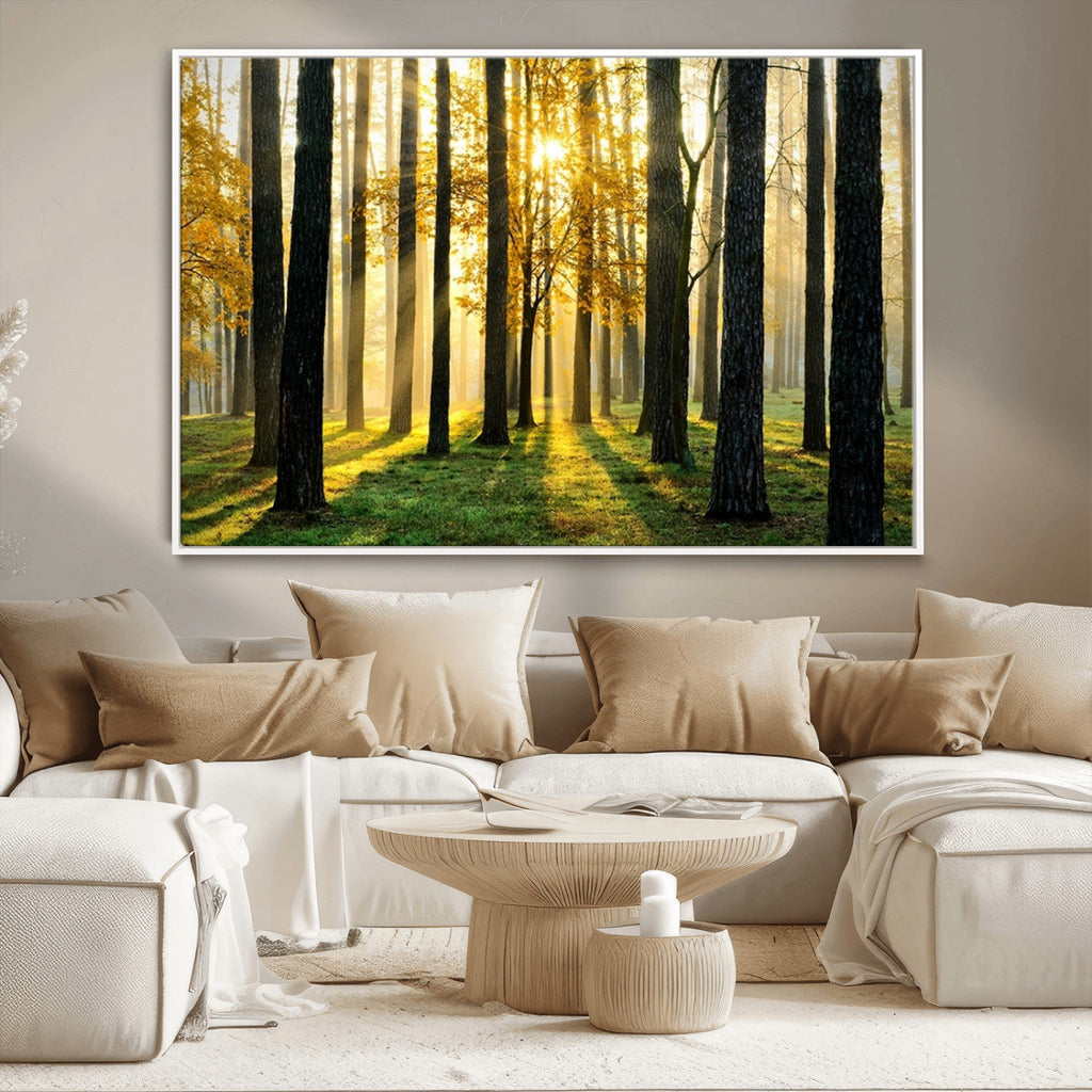 Sunlit Forest Wall Art Canvas Print, Large Framed Woodland Scene with Golden Light