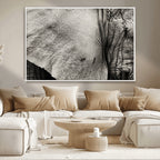 Elephant Wall Art Canvas Print
