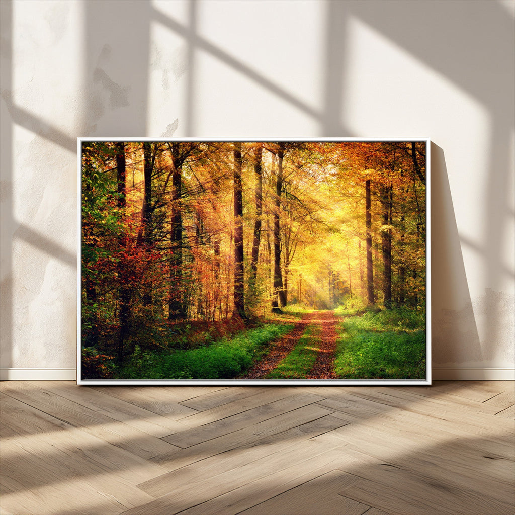 Sunlight Through Trees Wall Art Canvas Print | Autumn Forest Wall Art
