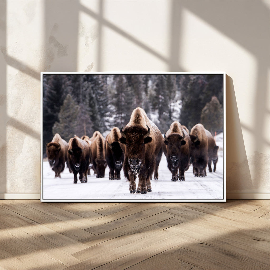 Bison Wall Art Canvas Print, Bison Herd Canvas Wall Art