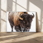 Bison Wall Art Canvas Print For Farmhouse, Wild Animal Wall Art