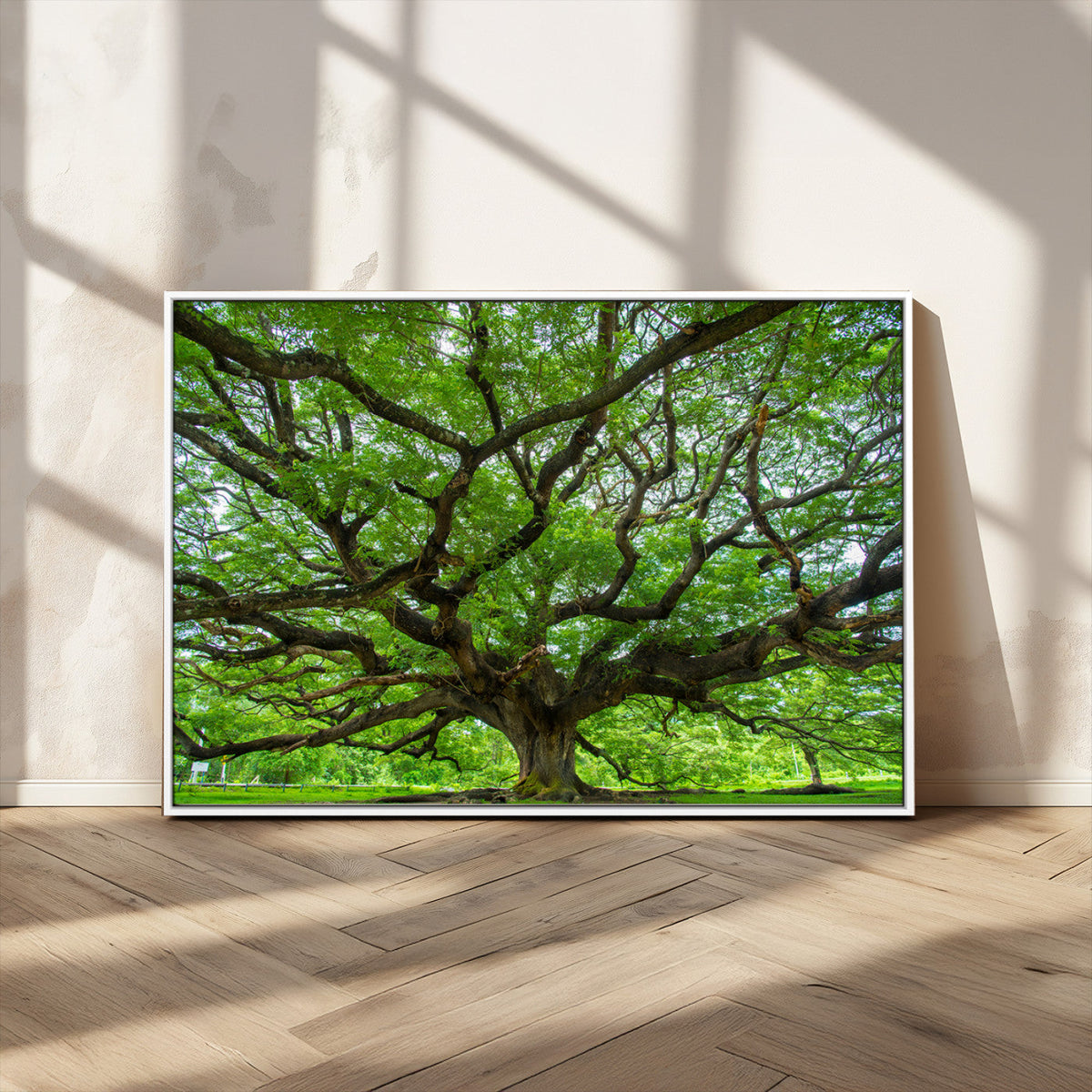 Ancient Tree Wall Art Canvas Print, Framed Sprawling Branches