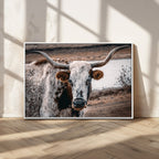 Texas Longhorn Wall Art Canvas Print | Framed Brown and White Spotted Longhorn