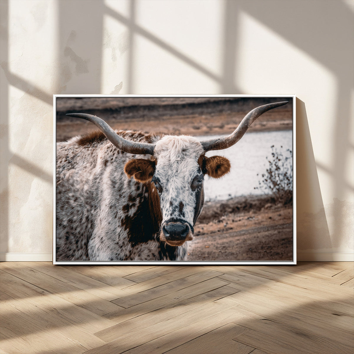 Texas Longhorn Wall Art Canvas Print | Framed Brown and White Spotted Longhorn